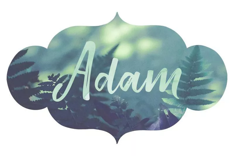 Adam