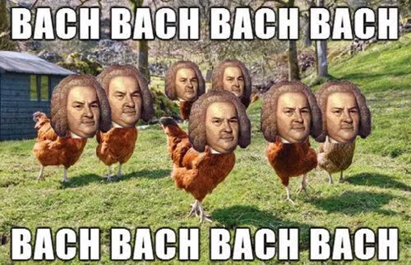 Field of chickens meme