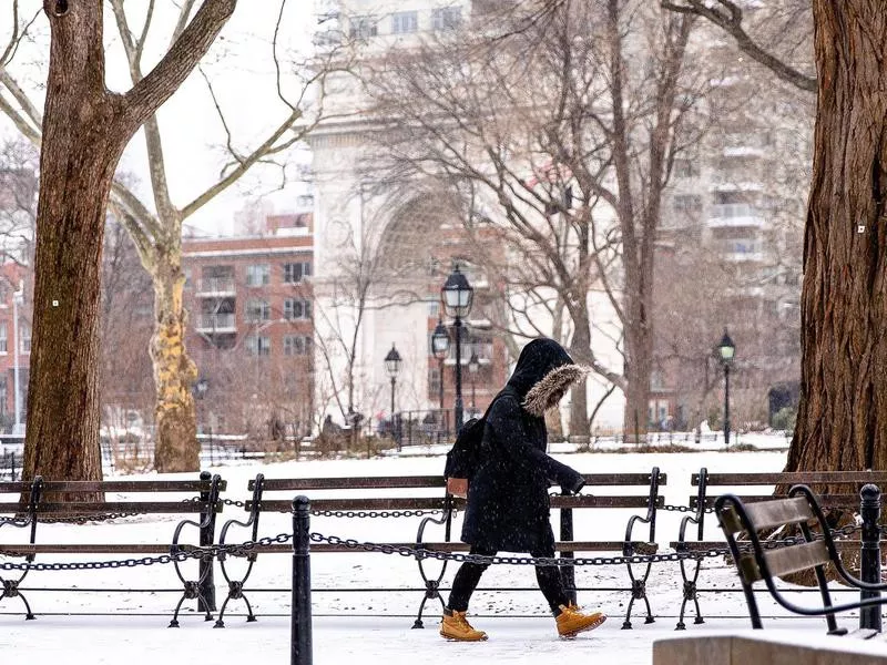 New York University