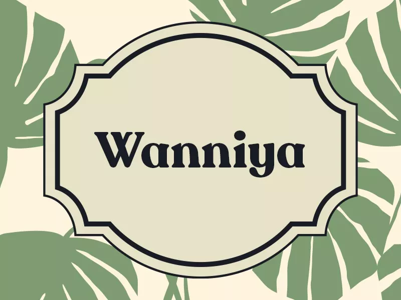 Wanniya