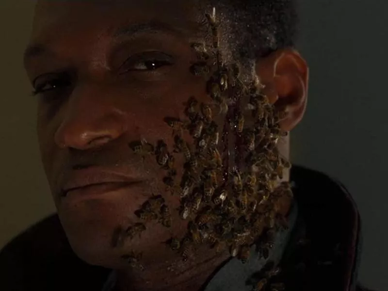 Candyman in Candyman: Farewell to the Flesh