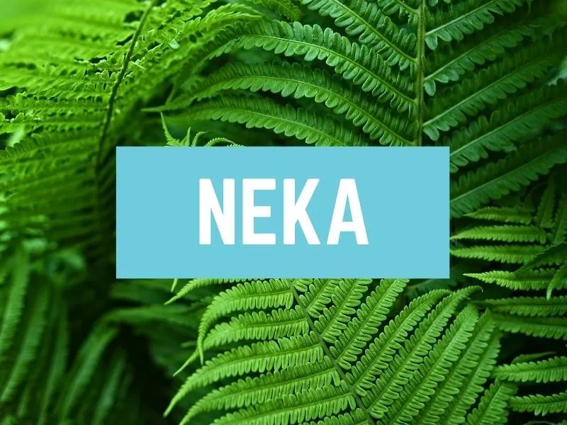 Neka