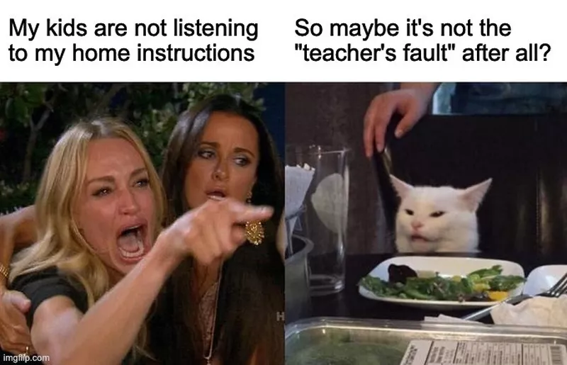 Funny teacher meme about parents blaming teachers