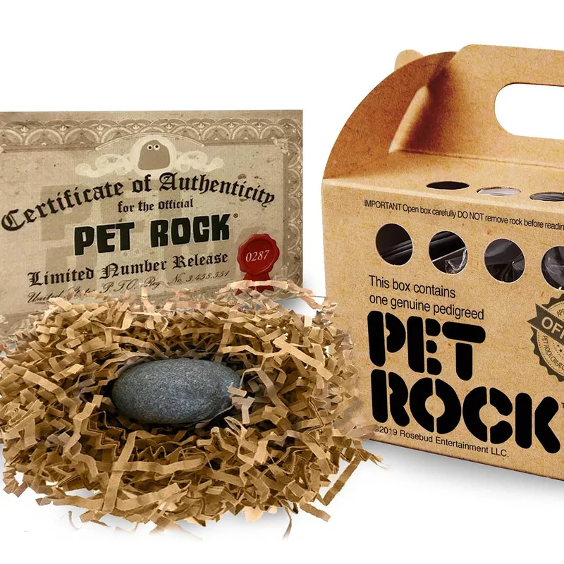 Pet Rock