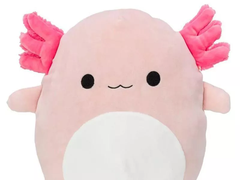 Archie the Axolotl Squishmallow