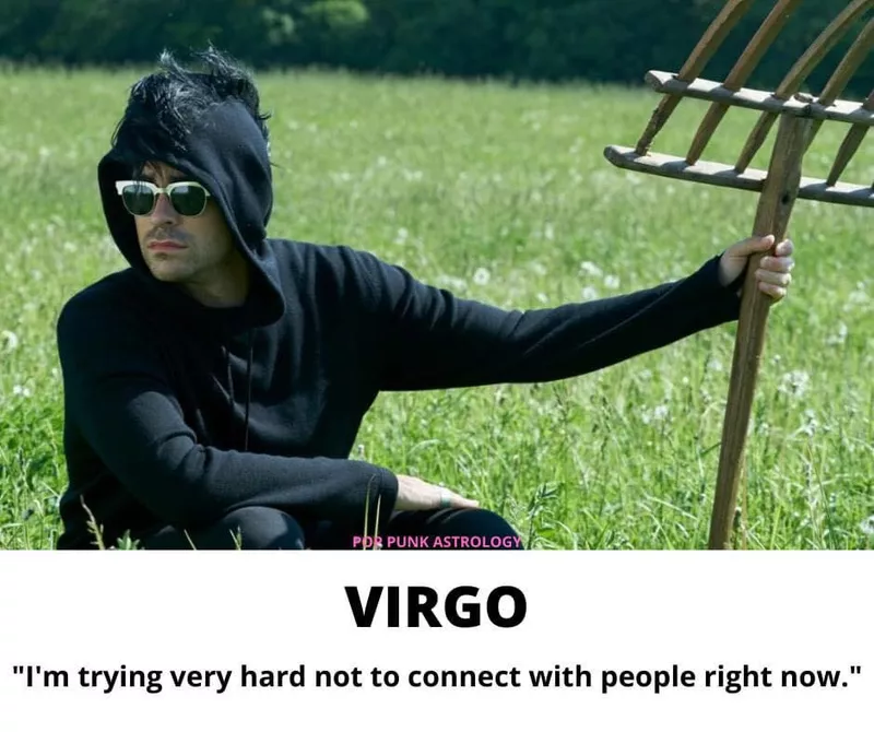 Virgo Meme