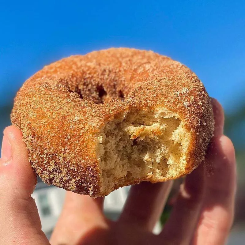 Apple Cider Donut