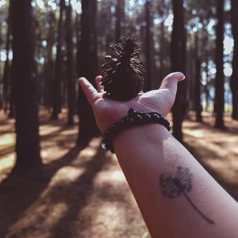 Dandelion Tattoo