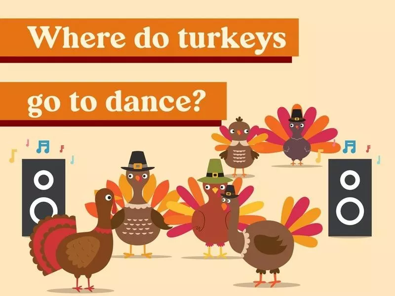 Where do turkeys go to dance?