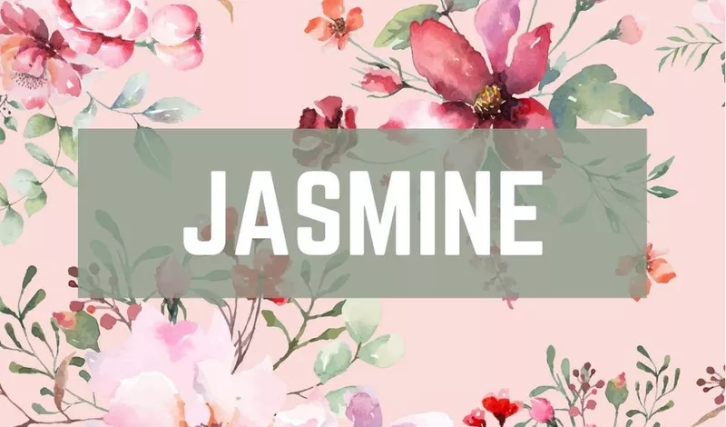 Jasmine