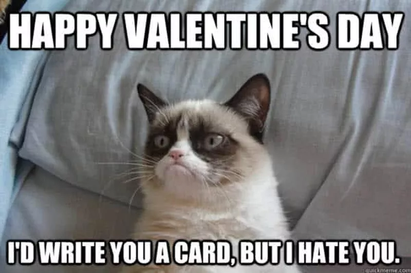 Grumpy cat Valentine meme