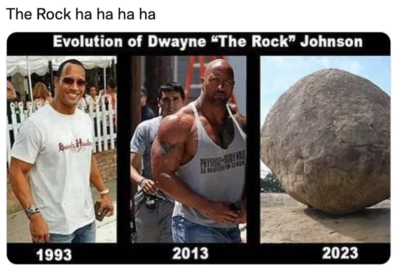 Evolution of Dwayne the Rock