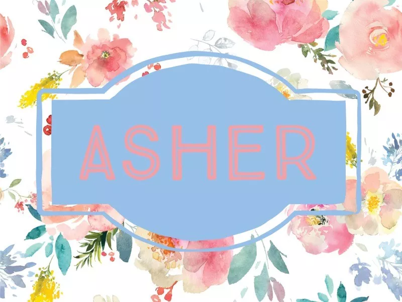 Asher