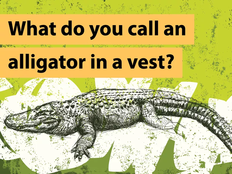 Alligator Joke