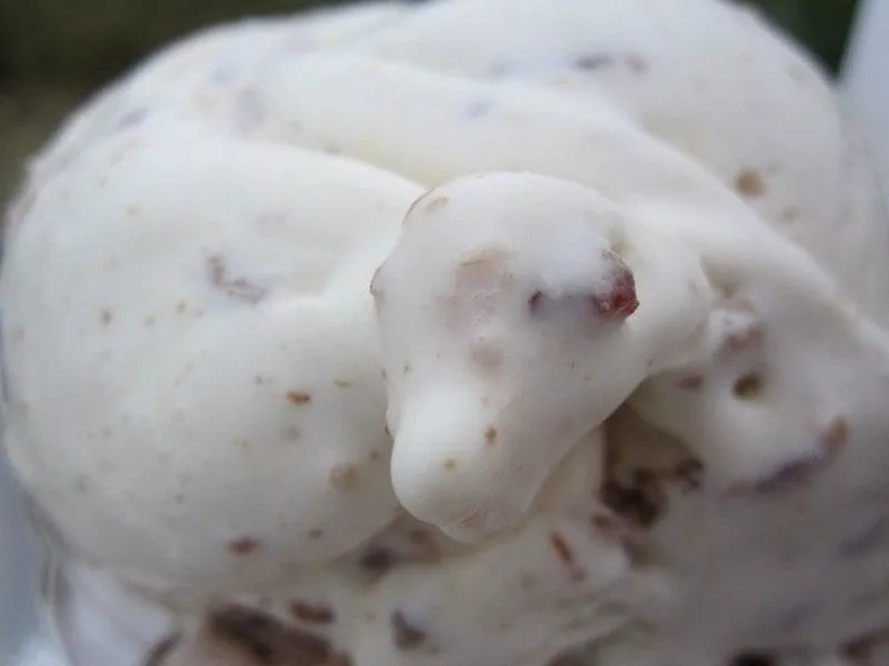 Bacon Maple Crunch Ice Cream