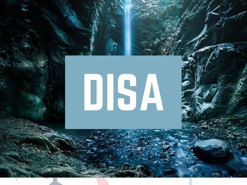 Disa