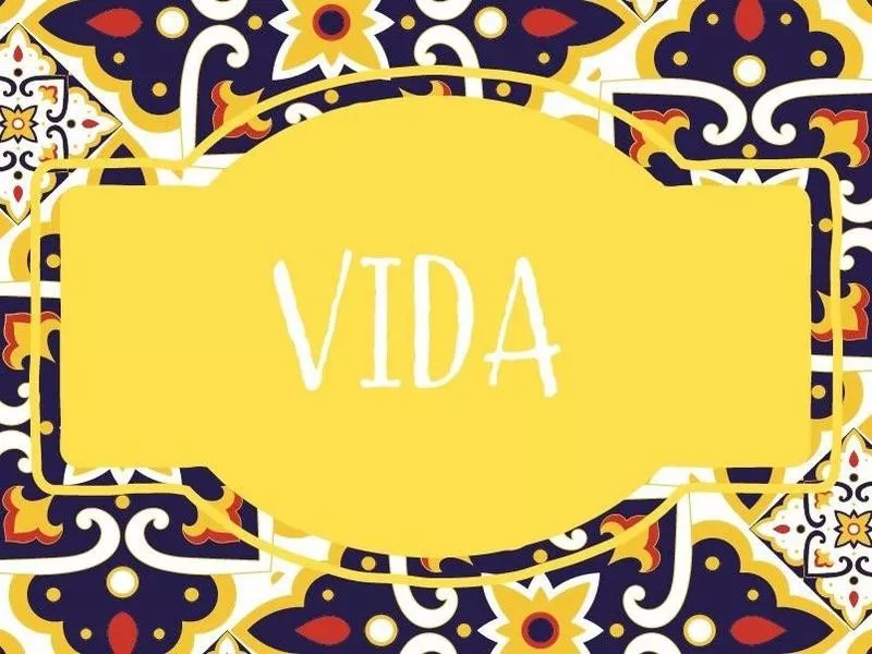 Vida