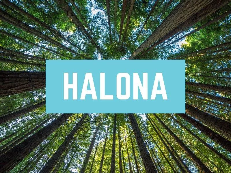 Halona