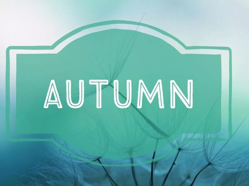 Autumn nature-inspired baby name