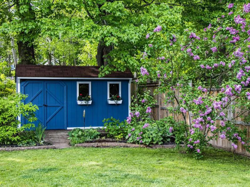 Paint the shed