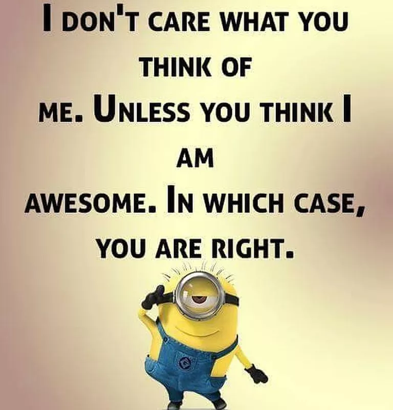 I don't care what you think of me minion meme