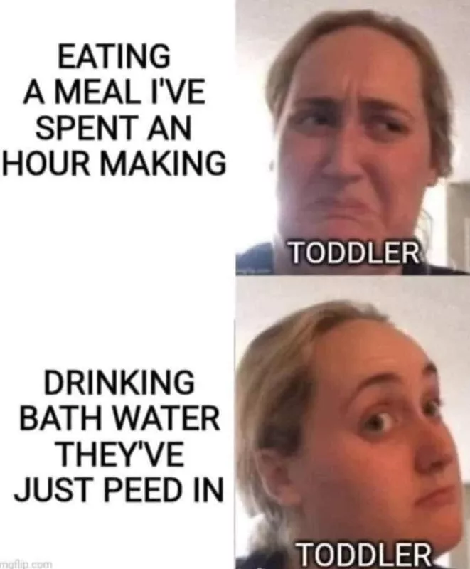 Toddler meme