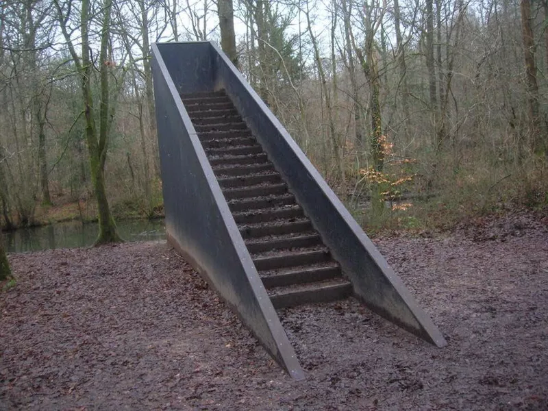 stairway in forest