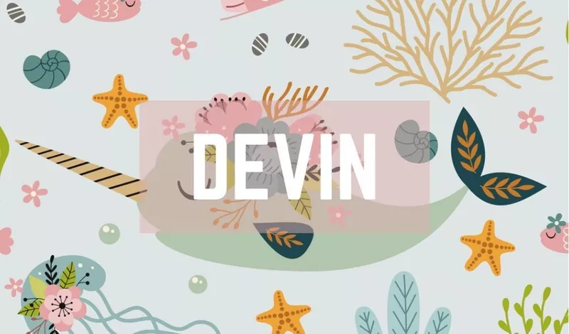 Devin