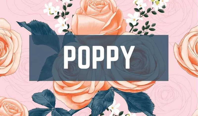 Poppy