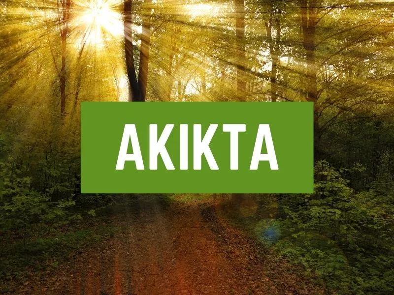 Akikta