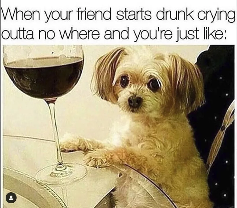 Drunk crying meme