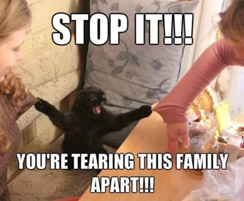 You're tearing this family apart meme