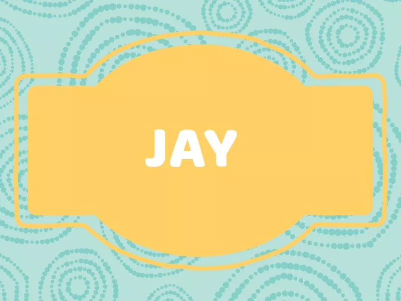 Cute J Baby Names: Jay