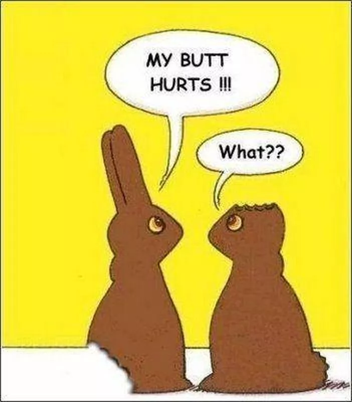 Chocolate bunny meme