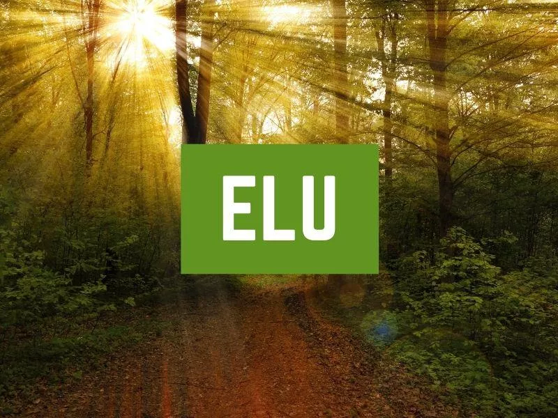 Elu