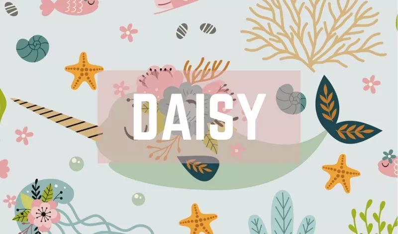 Daisy