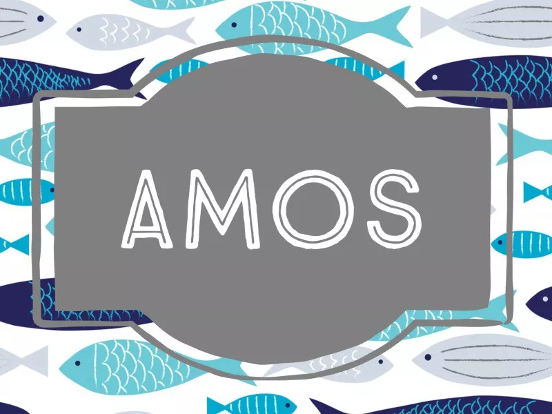 Amos