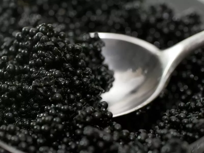 Caviar