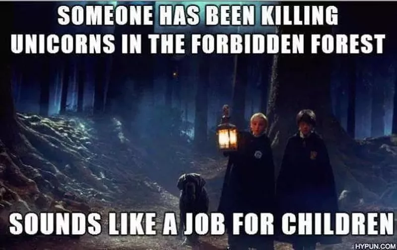 Forbidden forest Harry Potter meme