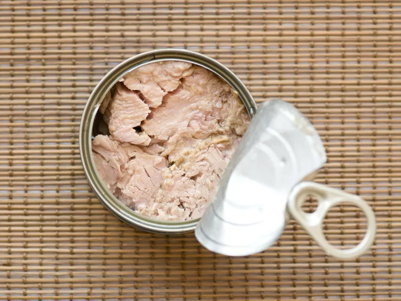 Tinned Tuna Fish