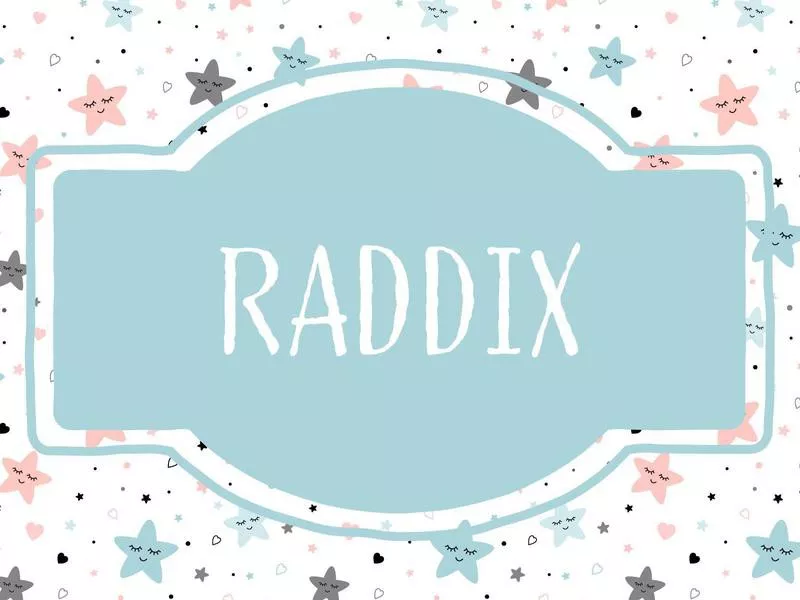 Raddix