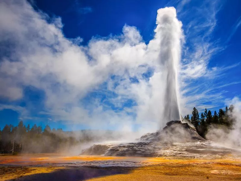 yellowstone