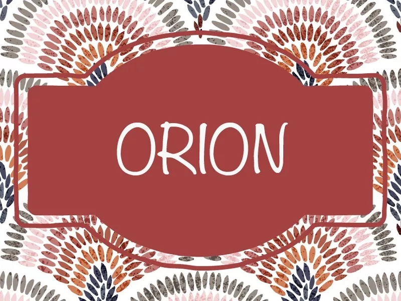 Orion