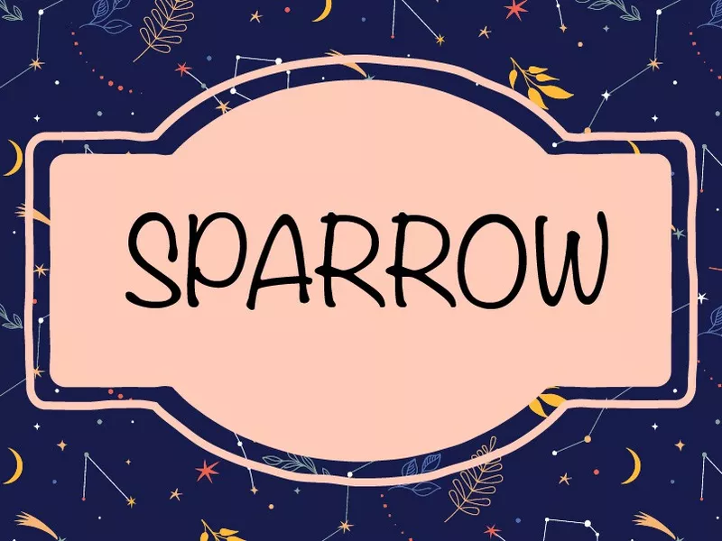 Sparrow