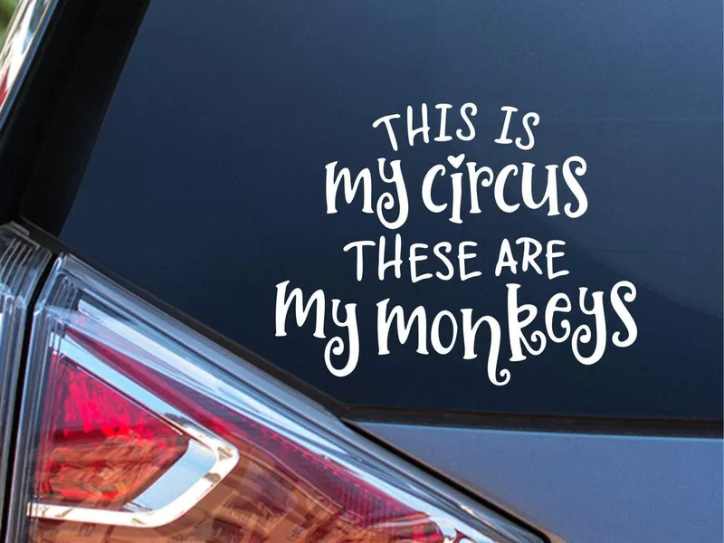 This is my circus, these are my monkeys