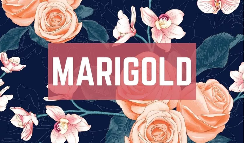 Marigold