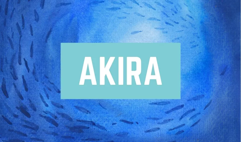 Japanese Boy Name Akira