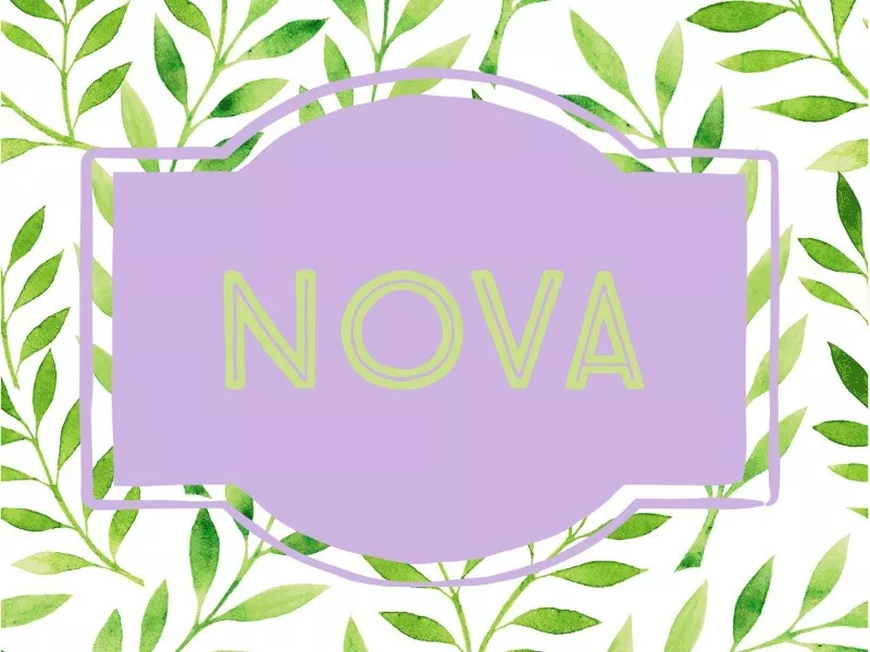 Nova