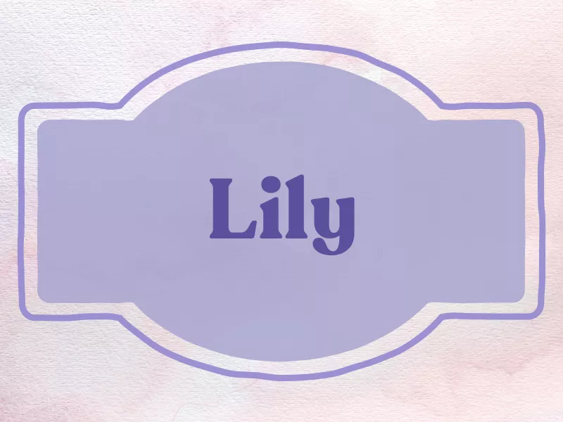 Lily