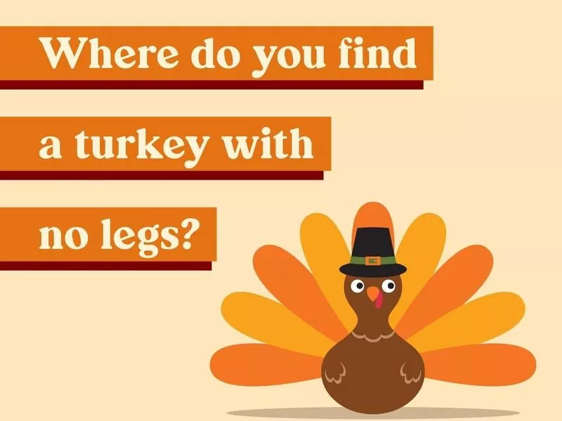 Where do you find a turkey with no legs?